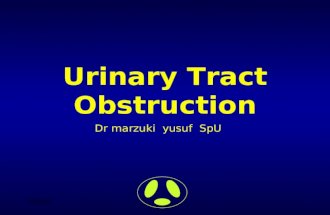 Obstruksi Upper Tract