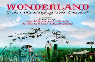 Wonderland Botanical Illustration Guide(2)