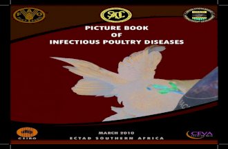 Poultry Disease Diagnosis_Picture Book-2