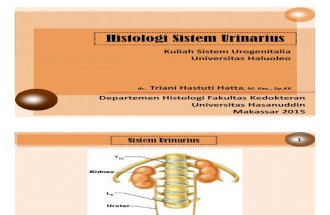 6. Histologi Urinarius_UNHALU Urogen 2015