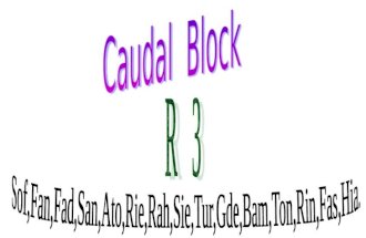 Caudal Block R3