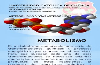 Metabolismo y via Metabolica Grupo No.1