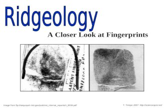 A Closer Look at Fingerprints Image from  T. Trimpe 2007
