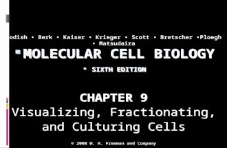 MOLECULAR CELL BIOLOGY  SIXTH EDITION  MOLECULAR CELL BIOLOGY  SIXTH EDITION Copyright 2008 © W. H. Freeman and Company CHAPTER 9 Visualizing, Fractionating,