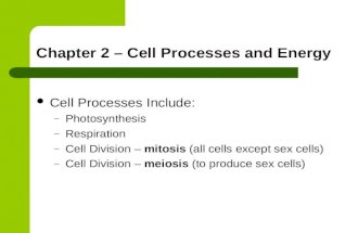 Chapter 2 – Cell Processes and Energy Cell Processes Include: – Photosynthesis – Respiration – Cell Division – mitosis (all cells except sex cells) – Cell.