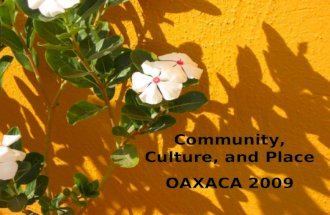 Community, Culture, and Place OAXACA 2009. Welcome!! Maggie Erin.