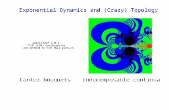 Exponential Dynamics and (Crazy) Topology Cantor bouquetsIndecomposable continua.