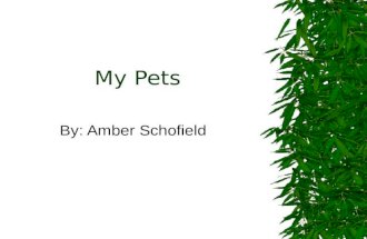 My Pets By: Amber Schofield. My Pets  My cats  My dog  My bearded dragons.