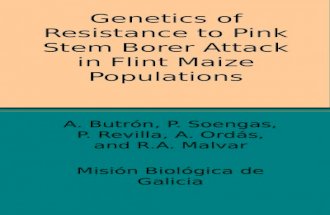 Genetics of Resistance to Pink Stem Borer Attack in Flint Maize Populations A. Butrón, P. Soengas, P. Revilla, A. Ordás, and R.A. Malvar Misión Biológica.