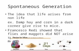 Spontaneous Generation The idea that life arises from non life ex. Damp hay and corn in a dark corner give rise to mice. Francesco Redi showed that flies.