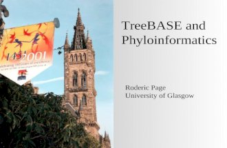 TreeBASE and Phyloinformatics Roderic Page University of Glasgow.