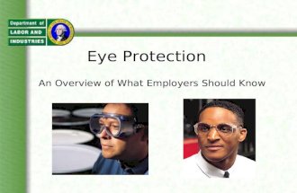 Eye Protection An Overview of What Employers Should Know.