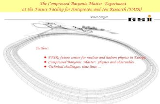 The Compressed Baryonic Matter Experiment at the Future Facility for Antiproton and Ion Research (FAIR) Outline:  FAIR: future center for nuclear and.