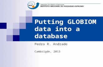 Putting GLOBIOM data into a database Pedro R. Andrade Cambrigde, 2013.