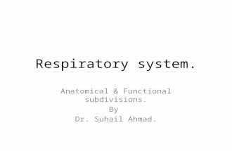 Respiratory system. Anatomical & Functional subdivisions. By Dr. Suhail Ahmad.