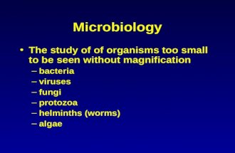 1 Microbiology The study of of organisms too small to be seen without magnification –bacteria –viruses –fungi –protozoa –helminths (worms) –algae.