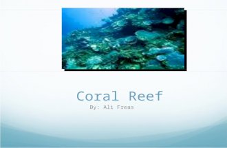 Coral Reef By: Ali Freas. Coral Reef Food Web This food web shows many different animals that survive in the coral reef. They each need each other to.