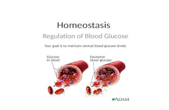 Homeostasis Regulation of Blood Glucose. Homeostasis Animals possess a nervous system and a hormonal system that interact in order to maintain the constancy.