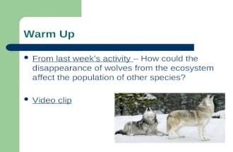 Warm Up From last week’s activity – How could the disappearance of wolves from the ecosystem affect the population of other species? Video clip.
