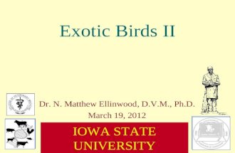 Exotic Birds II Dr. N. Matthew Ellinwood, D.V.M., Ph.D. March 19, 2012 I OWA S TATE U NIVERSITY C OLLEGE OF A GRICULTURE AND L IFE S CIENCES.