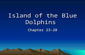 Island of the Blue Dolphins Chapter 23-28. shore the land along the edge of a sea, lake, or other large body of water.