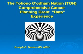 The Tohono O'odham Nation (TON) Comprehensive Cancer Planning Grant “Data” Experience Joseph B. Hawes MD, MPH.