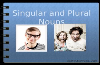 Singular and Plural Nouns Walsh Publishing Co. 2009.