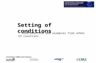 Consultant: CMDC Joint Venture Setting of conditions - Good practice and examples from other EU countries.