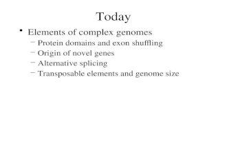 Today Elements of complex genomes –Protein domains and exon shuffling –Origin of novel genes –Alternative splicing –Transposable elements and genome size.