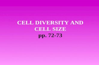 CELL DIVERSITY AND CELL SIZE pp. 72-73. Cell shape Cells specialized (i.e. epithelial vs nerve cell) Cell shape related to function of the cell.
