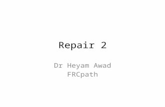 Repair 2 Dr Heyam Awad FRCpath. Role of extracellular matrix in tissue repair ECM is composed of several proteins that assemble into a network which surrounds.