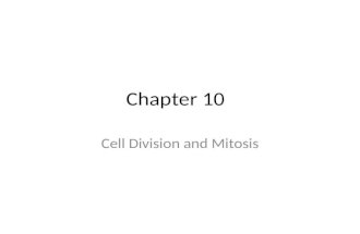Chapter 10 Cell Division and Mitosis. A.Cell division- increases the number of cells and causes many-celled organisms to grow B.The Cell Cycle- series.