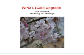 Mark Thomson University of Cambridge WP6: L1Calo Upgrade.