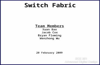 Switch Fabric Team Members Xuan Bao Jacob Cox Bryan Fleming Wenzhong Wu 20 February 2009.