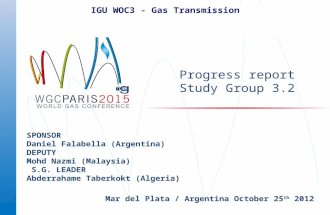 Progress report Study Group 3.2 SPONSOR Daniel Falabella (Argentina) DEPUTY Mohd Nazmi (Malaysia) S.G. LEADER Abderrahame Taberkokt (Algeria) Mar del Plata.