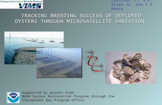TRACKING BREEDING SUCCESS OF DEPLOYED OYSTERS THROUGH MICROSATELLITE VARIATION Carlsson J., S.K. Allen Jr, and K.S. Reece Supported by grants from: NOAA.
