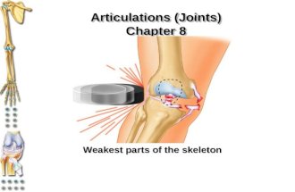 Articulations (Joints) Chapter 8 Weakest parts of the skeleton.