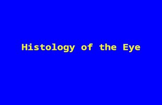 Histology of the Eye. Objectives By the end of this lecture, the student should be able to describe: – –The general structure of the eye. – –The microscopic.