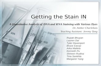 Getting the Stain IN A Quantitative Analysis of DNA and RNA Staining with Various Dyes Dr. Amber Charlebois Teaching Assistant: Jeremy Tang Rupak Bhuyan.