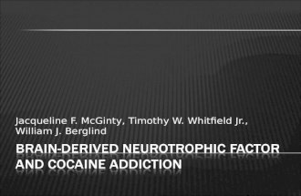 Jacqueline F. McGinty, Timothy W. Whitfield Jr., William J. Berglind.