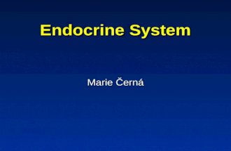 Endocrine System Marie Černá. Regulatory systems Nervous system Endocrine system.