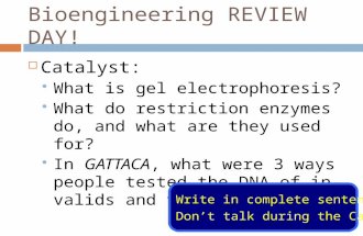 Bioengineering REVIEW DAY!  Catalyst:  What is gel electrophoresis?  What do restriction enzymes do, and what are they used for?  In GATTACA, what.
