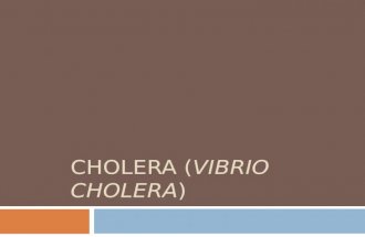 CHOLERA (VIBRIO CHOLERA). Introduction  Cholera, sometimes known as Asiatic cholera or epidemic cholera, is an infectious gastroenteritis caused by the.