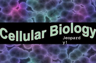 Jeopardy! Proteins Cell Communication Cell EnergyCell DivisionCell Organelles 100 200 300 400 500.