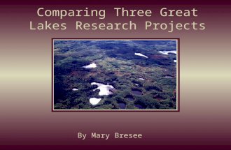Comparing Three Great Lakes Research Projects By Mary Bresee.