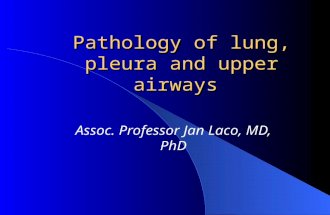 Pathology of lung, pleura and upper airways Assoc. Professor Jan Laco, MD, PhD.