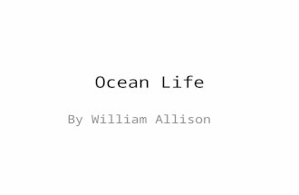 Ocean Life By William Allison. TIDES Tides are the rise and fall of the ocean. Tides cycle as the moon rotates around the earth and as the position.