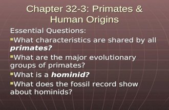 Chapter 32-3: Primates & Human Origins Essential Questions: What characteristics are shared by all primates? What characteristics are shared by all primates?