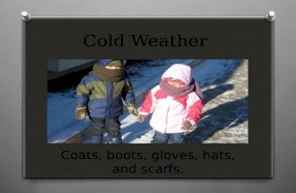Cold Weather Coats, boots, gloves, hats, and scarfs.