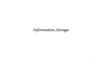 1 Information Storage. 2 Outline Virtual Memory Pointers and word size Suggested reading –The first paragraph of 2.1 –2.1.2, 2.1.3, 2.1.4, 2.1.5, 2.1.6.